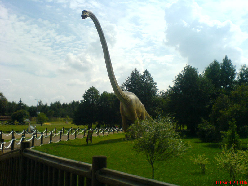 Pawelek I Dominik Dinozaury